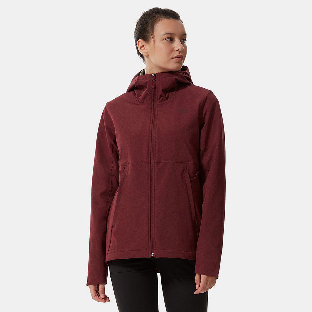 The North Face Shelbe Raschel Γυναικεια Μπουφάν Fleece - Κοκκινα (GXYR72698)
